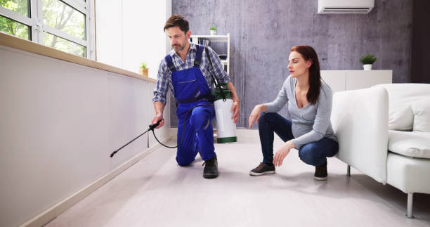 Best Real Estate Pest Inspections  in Litchfield Park, AZ